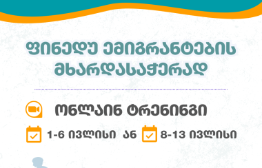 ვებინარი - ფინედუ ემიგრანტების მხარდასაჭერად