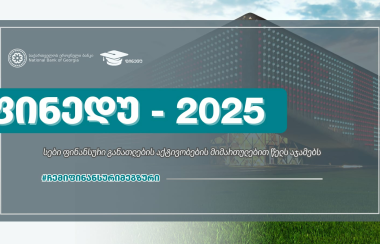 ფინედუ 2025 წლის პროექტებს აჯამებს