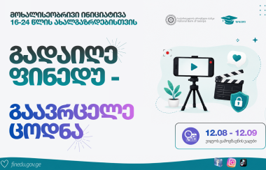 ფინედუზე  ახალგაზრდებისთვის  მოხალისეობრივი ინიციატივა დაიწყო